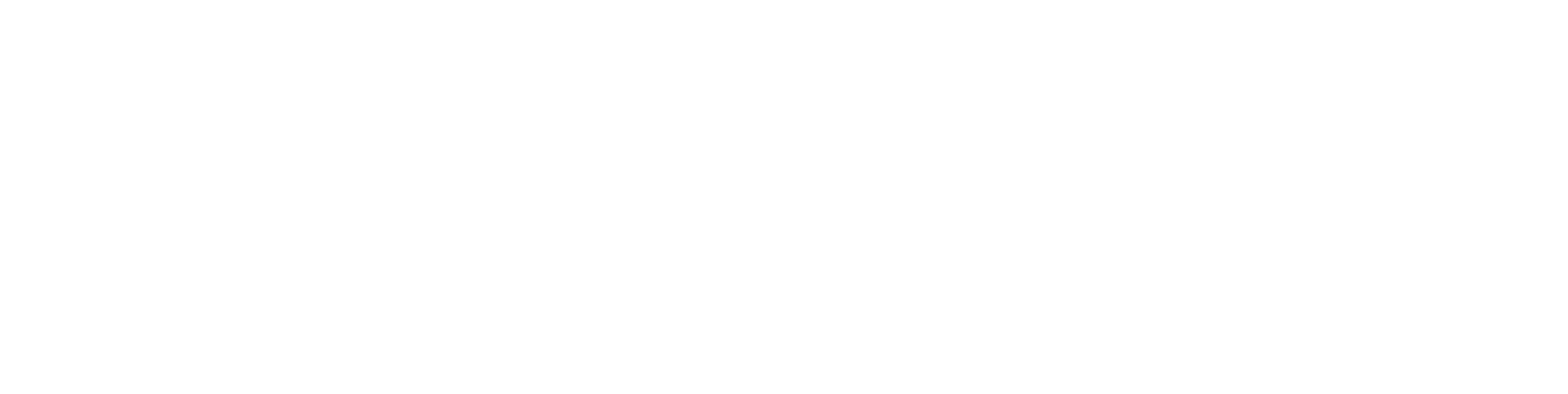 Conceito Primazzia